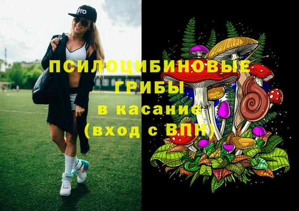 a pvp Михайлов