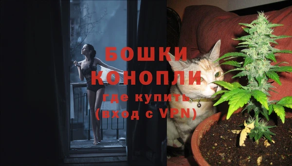 ешки Мегион