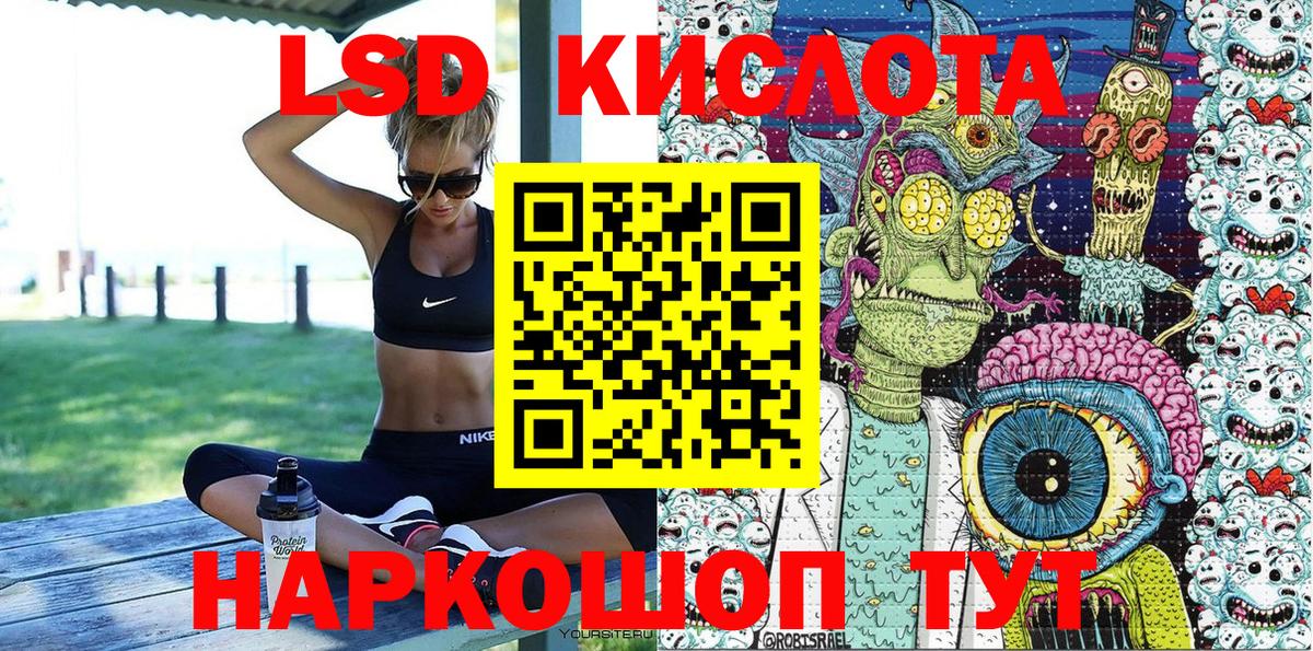 дарнет шоп  Новозыбков  Марки NBOMe 1,8мг  Марки NBOMe 1,8мг 