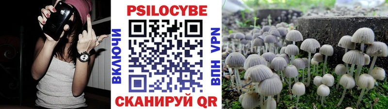 продажа наркотиков  Новозыбков  Галлюциногенные грибы ЛСД 