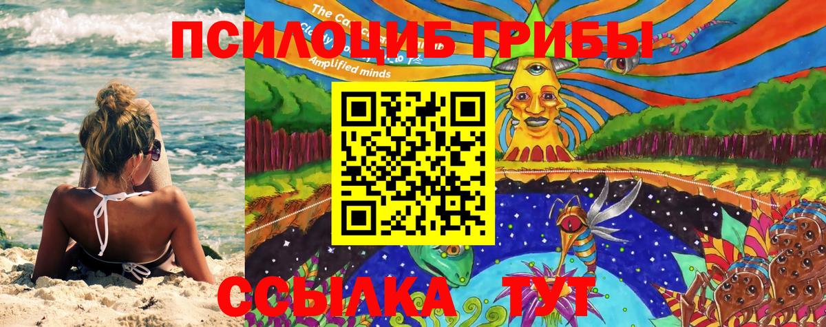 Псилоцибиновые грибы ЛСД Новозыбков