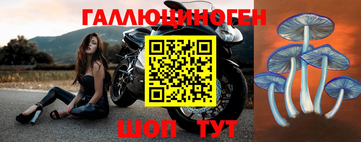 Псилоцибиновые грибы прущие грибы Новозыбков