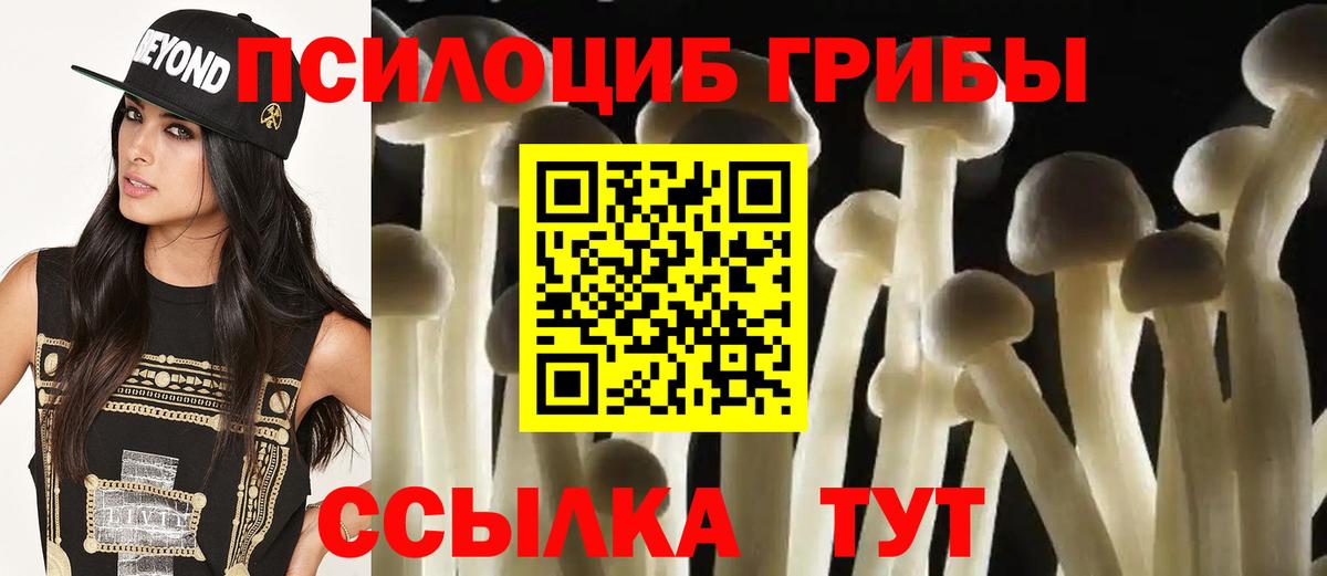 Новозыбков  Псилоцибиновые грибы MAGIC MUSHROOMS  Галлюциногенные грибы ЛСД  Вход с VPN 